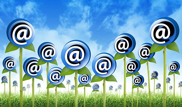 Real Estate Email Marketing